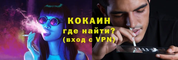 ПСИЛОЦИБИНОВЫЕ ГРИБЫ Медногорск