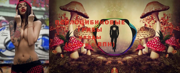 ПСИЛОЦИБИНОВЫЕ ГРИБЫ Медногорск