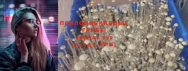 метадон Михайловск